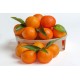 Oranges bio de Corse (le kg)
